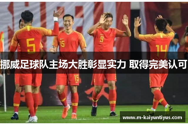 挪威足球队主场大胜彰显实力 取得完美认可