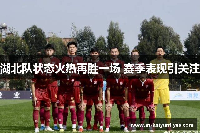 湖北队状态火热再胜一场 赛季表现引关注