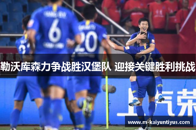 勒沃库森力争战胜汉堡队 迎接关键胜利挑战