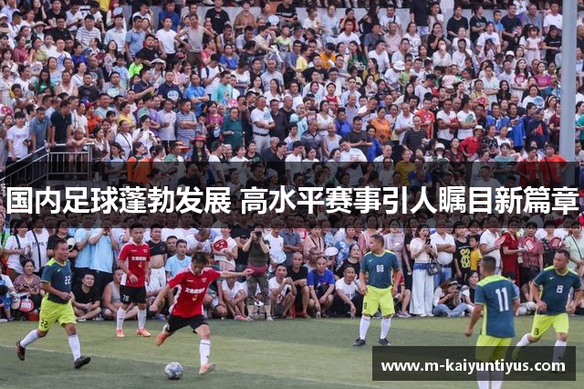 国内足球蓬勃发展 高水平赛事引人瞩目新篇章