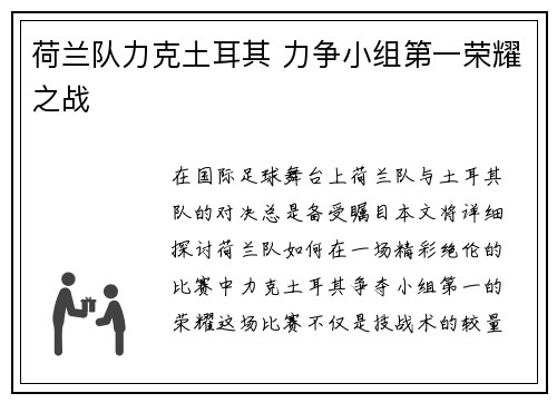 荷兰队力克土耳其 力争小组第一荣耀之战