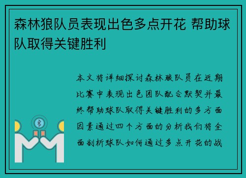 森林狼队员表现出色多点开花 帮助球队取得关键胜利