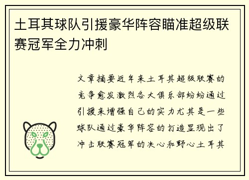 土耳其球队引援豪华阵容瞄准超级联赛冠军全力冲刺