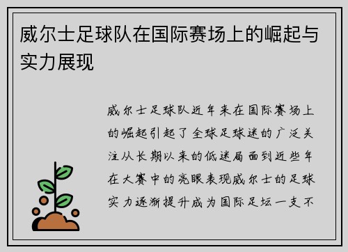 威尔士足球队在国际赛场上的崛起与实力展现
