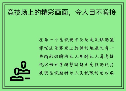 竞技场上的精彩画面，令人目不暇接