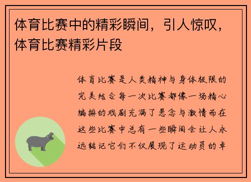 体育比赛中的精彩瞬间，引人惊叹，体育比赛精彩片段